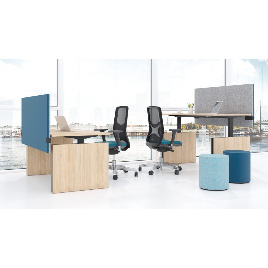 Modus Desk Screen